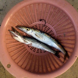 7月30日の朝日
